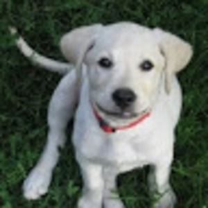 Meet your Posher, Jg